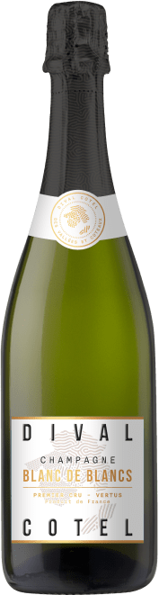 Dival Cotel - Blanc de Blancs