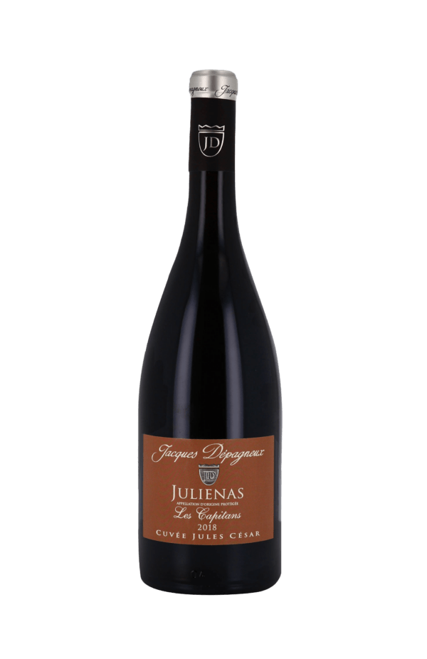 Domaine Jacques Depanieux- Julienas Old Vines “Julius Caesar”