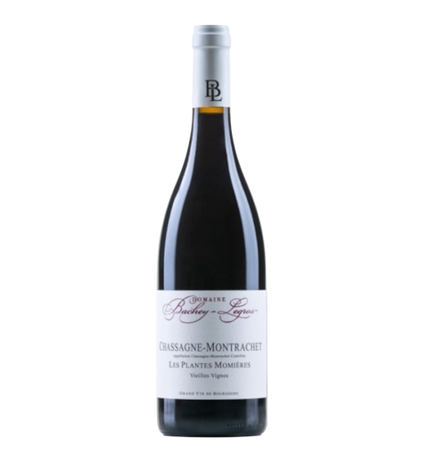Bachey Legros - Plantas Chassagne-Montrachet Momieres 2022