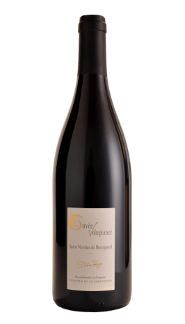 Jamoterie Vineyard - Saint-Nicolas de Bourgueil Voluptance