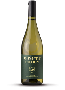 Olivier Pithon - Mon Petit Pithon 2021