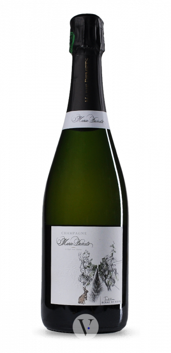 Marie Demets - Instransigeance